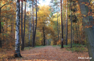 thümmlitz