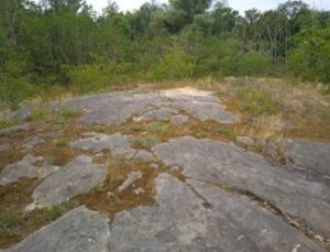eiszeitliche Rundhöcker auf Porphyr